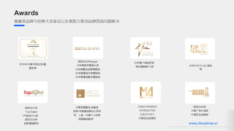 品牌营销大奖