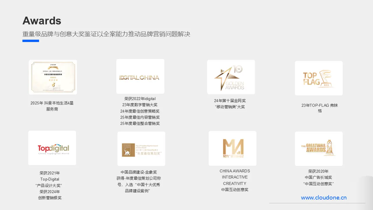 品牌营销大奖